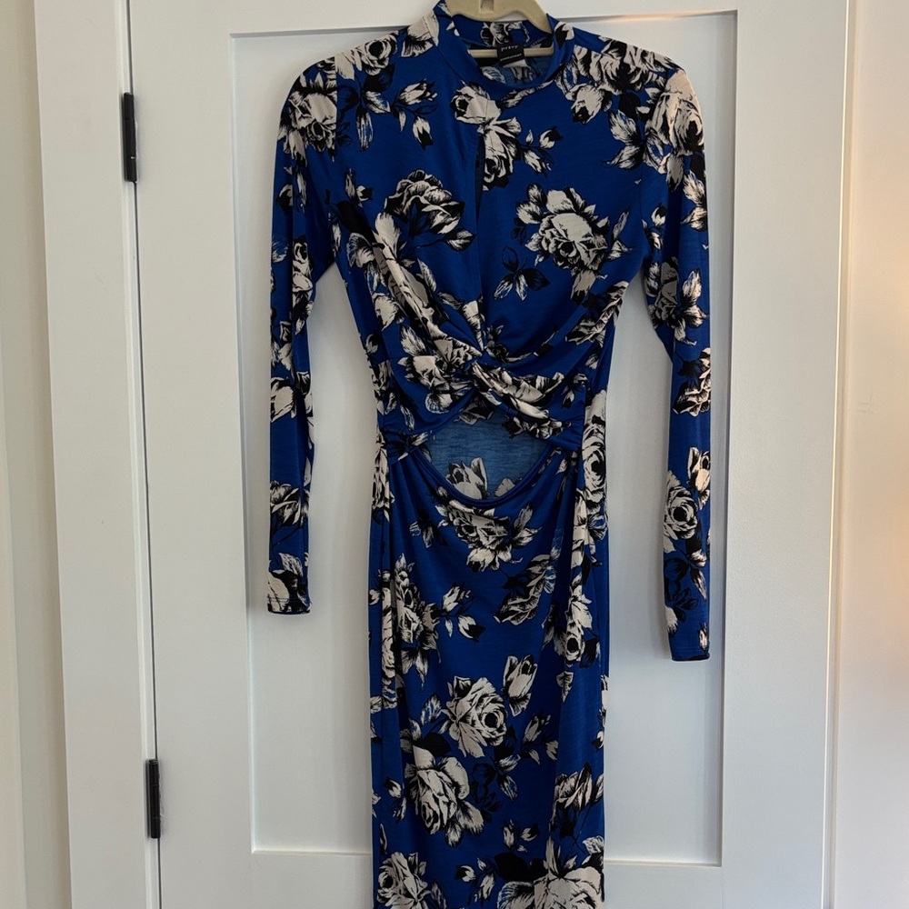 Privy Blue Floral Long Sleeve Dress